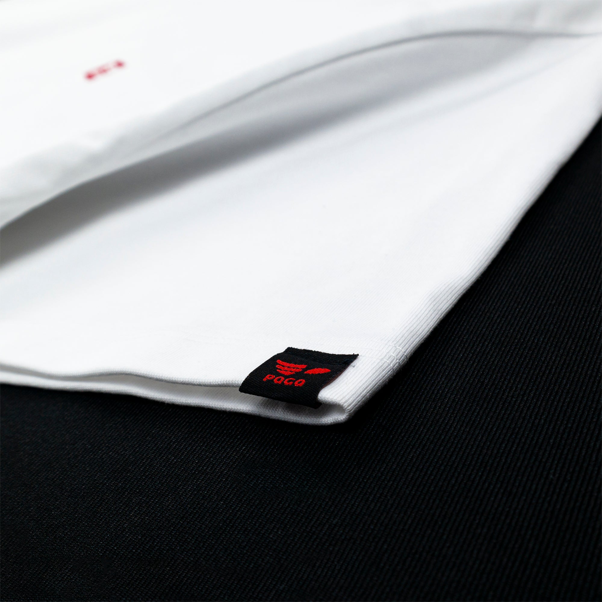 OBJECT: PAGA POWER [1-PT PRINT] // REF: PW-01-0300