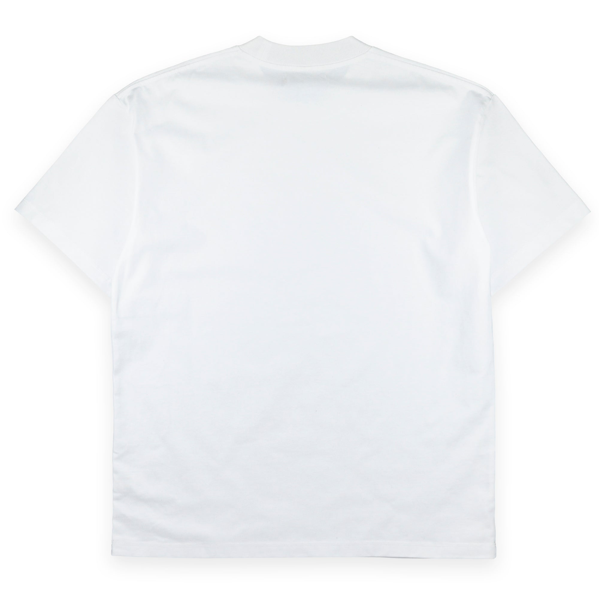 OBJECT: PAGA POWER [1-PT PRINT] // REF: PW-01-0300