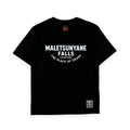 OBJECT: MALETSUNYANE FALLS [2-PT PRINT] // REF: PW-01-0220